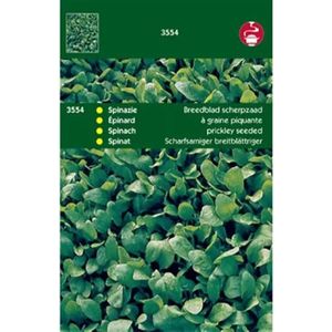groentezaad Spinazie breedblad scherpzaad zomer (Spinacia oleracea)
