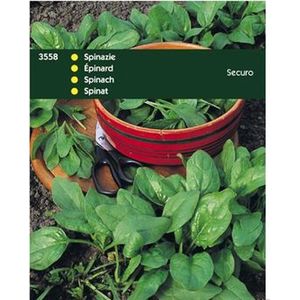 Spinazie Securo 100 gram