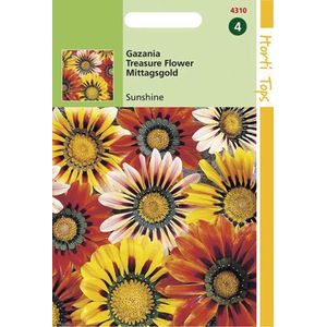 Hortitops Gazania Bloemzaad - Sunshine - Gemengd