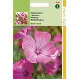 Hortitops Zaden - Lavatera Trimestris Rose/Rood