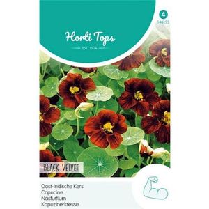Hortitops Oost-Indische Kers Tropaeolum Black Velvet