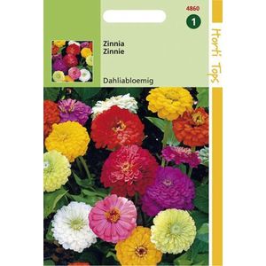 Hortitops Zaden - Zinnia Dubbele Dahliabl. Gemengd