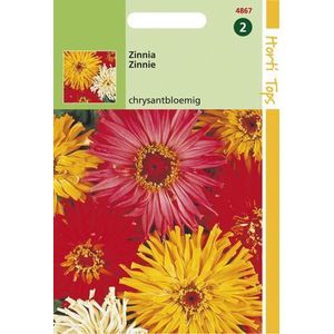 Hortitops Zaden - Zinnia Elegans Chrysanthbloemig Gemengd