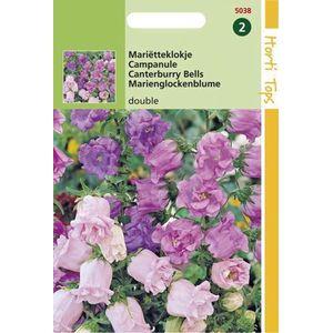 Hortitops zaden - Kop-En-Schotel Bloemzaad - Campanula Medium Calycanthema - Gemengd