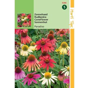Hortitops zaden - Echinacea, Zonnehoed Paradiso