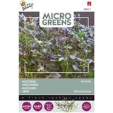 Buzzy zaden - Micro greens mosterdsla red Frills