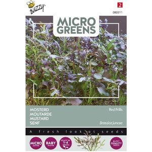 Buzzy Microgreens kiemgroentezaad Mosterd (Sinapis alba 'Red Frills')