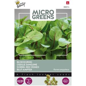 Buzzy Microgreens kiemgroentezaad Bloedzuring (Rumex sanguineus)