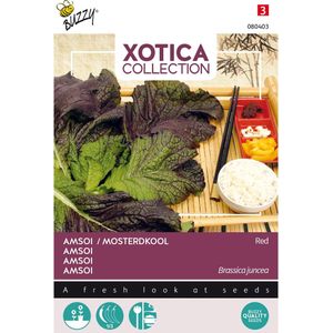 Buzzy® Xotica groentezaad Rode Amsoi (Brassica juncea)