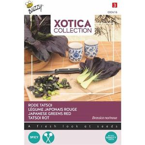 Buzzy® Xotica Rode Tatsoi