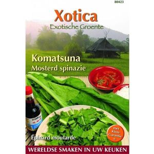 Buzzy® Xotica Komatsuna
