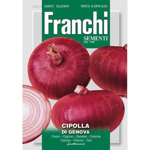 Franchi -  Ui, Cipolla di genova 42/5