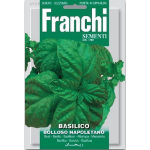 Franchi Basilico Bolloso Napolitano - basilicum Napolitano