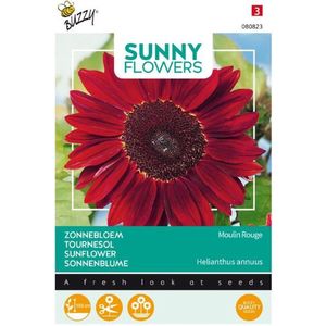 Buzzy Sunny Flowers Bloemenzaad Zonnebloem (Helianthus 'Moulin Rouge')