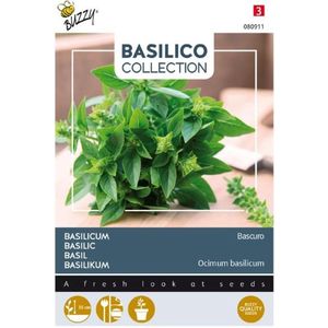 Buzzy - Basilicum Bascuro
