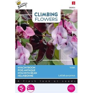 Buzzy® Klimplant - Hyacinthboon zaden - Dolichos lablab Violet - 3g