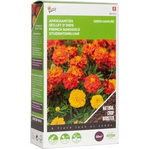 Buzzy® Groenbemester Tagetes - 50 gram