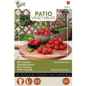 Buzzy® Patio Vegetables, Tomaat Gourmandise Red