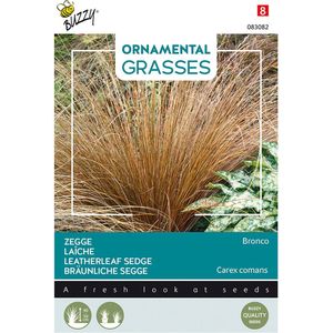 Buzzy zaden - Zegge &#x27;Bronco&#x27; | Ornamental Grasses