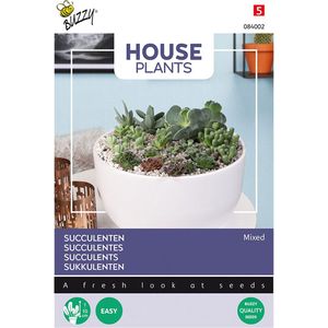 Buzzy® House Plants Mixed Succulents. vetplanten