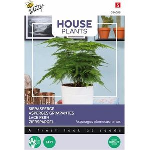 Buzzy House Plants kamerplantenzaad Sierasperge (Asparagus plumosus 'Nanus')