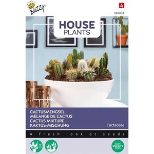 Buzzy® House Plants Cactus mengsel