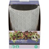 Buzzy House Plants Hangende Plantpot met Coleus zaden - plantenpotten voor binnen