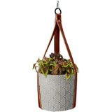 Buzzy House Plants Hangende Plantpot met Coleus zaden - plantenpotten voor binnen