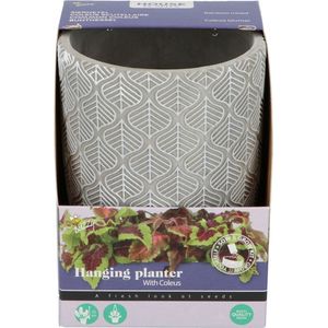 Buzzy House Plants Hangende Plantpot met Coleus zaden - plantenpotten voor binnen