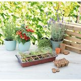 SOGO Kweekkas voor vensterbank incl. 18 turfpotjes - 11x19x39cm