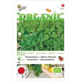 Buzzy® Organic - Citroenmelisse (BIO)