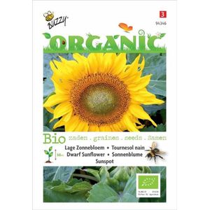 Zonnebloem Laag Sunspot Organic Seeds (Bio)
