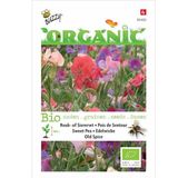 Buzzy® Organic Lathyrus, Reuk- of Siererwt Spencer (BIO)