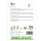 Buzzy® Organic Lathyrus, Reuk- of Siererwt Spencer (BIO)