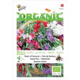 Buzzy® Organic Lathyrus, Reuk- of Siererwt Spencer (BIO)