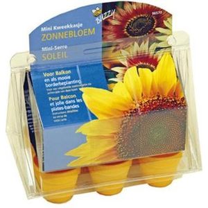 Buzzy - Grow gifts kweekset mini greenhouse sunny flowers