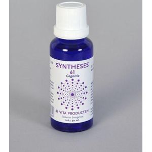 Vita Syntheses 61 cognitie 30ml