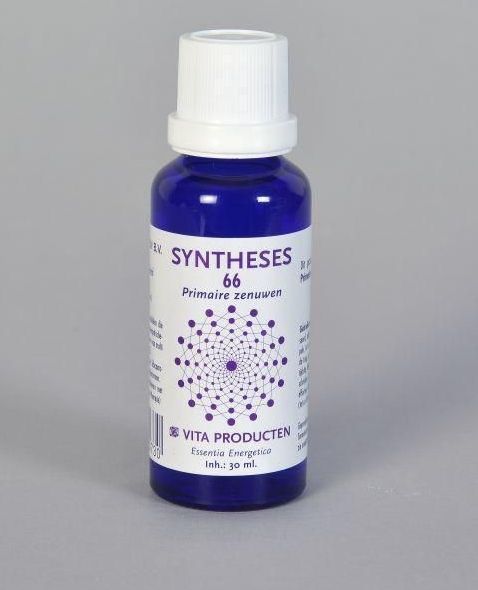 Vita Syntheses 66 primaire zenuwen 30 ml
