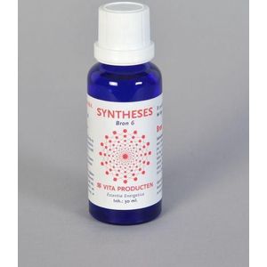Vita Syntheses bron 6 het ego 30ml