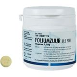 Teva Foliumzuur 0.5 250 tabletten