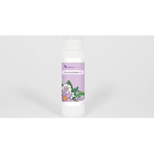 Balance Pharma - CNP31 - Nux Vomica Constitutieplex - 6 Gram