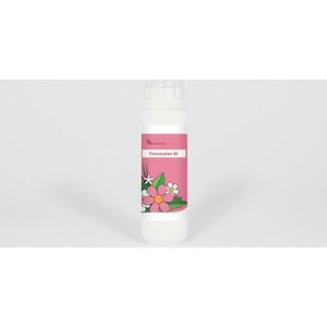 Balance Pharma HFP056 Het kind in jezelf Flowerplex (6g)