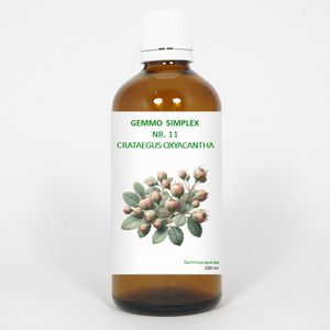 Balancepharma - Gemmo Simplex 11 - Kruidenpreparaat - Crataegus Oxyacantha - Alcohol 20%