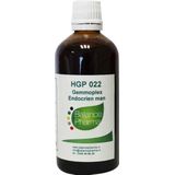 Balance Pharma HGP022 Gemmoplex endocrien man  100 ml |