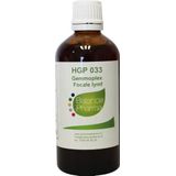 Gemmoplex - Kruidentincturen - 20% Alcohol - 50ml