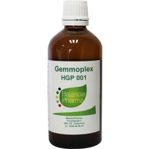 Balance Pharma - HGP 001 Gemmoplex - Nieren - 100 ml - Tincturen