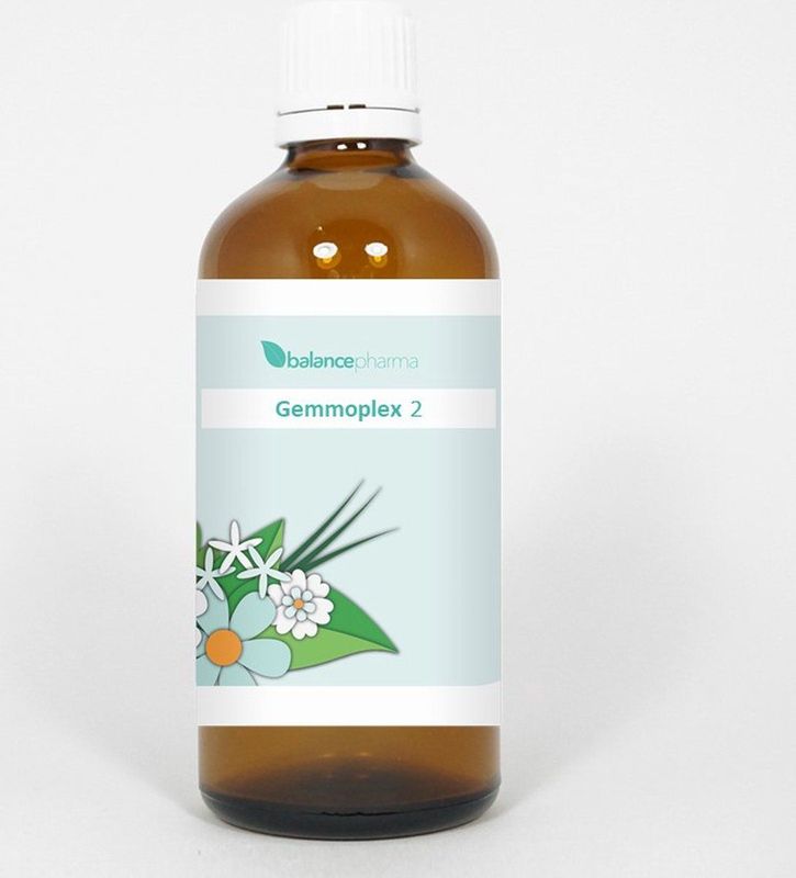 Fytotherapie - Gemmoplex - Tincturen - 20% Alcohol - 100 ml