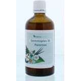 Balance Pharma Gemmoplex Hgp016 Pancreas - 100 ml