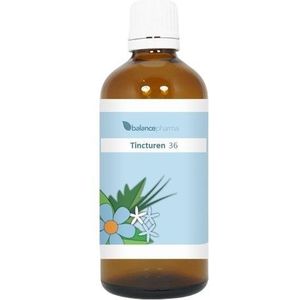 Balance Pharma - Ribes Nigrum Tincturen - 100 ml - Kruidentinctuur