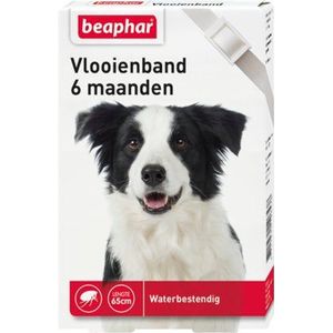 Beaphar - Vlooienband - Wit - Honden - 6 Maanden Bescherming